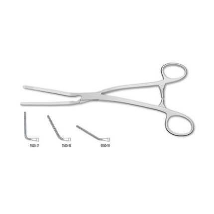 Cooley Miniature Multi Purpose Clamp