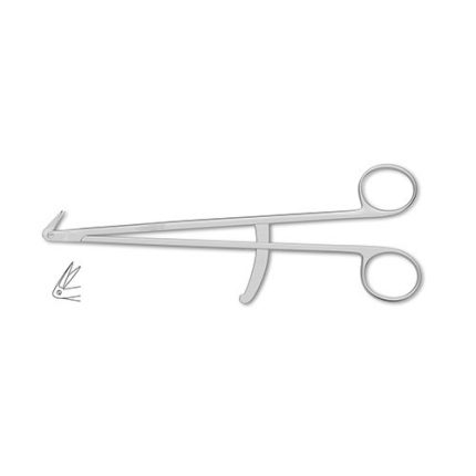 Scissors
